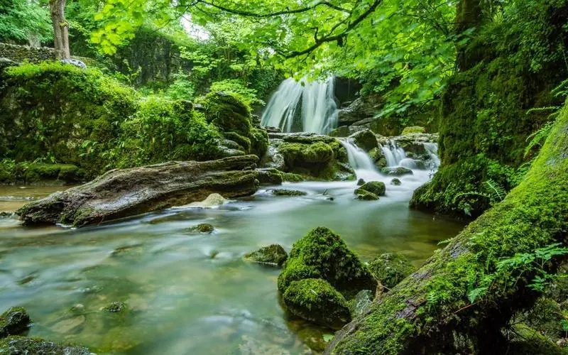 智能系统高标准高性能